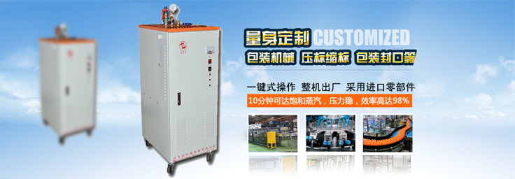 12-24kw機械包裝小型蒸汽發(fā)生器