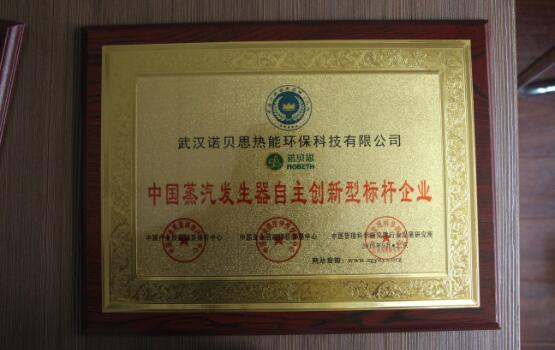 中國蒸汽發(fā)生器自主創(chuàng)新型標(biāo)桿企業(yè)