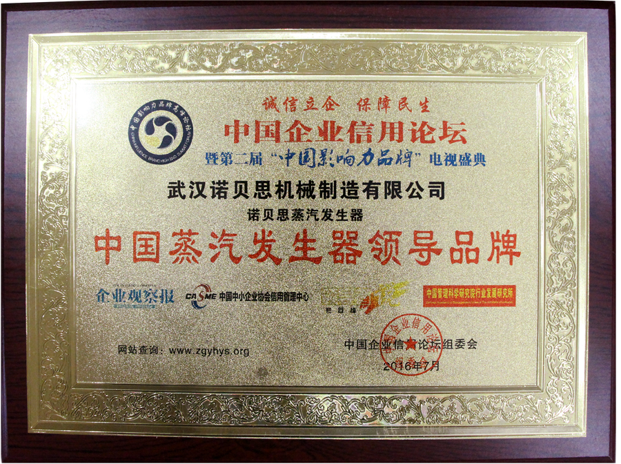 中國(guó)蒸汽發(fā)生器行業(yè)領(lǐng)導(dǎo)品牌諾貝思